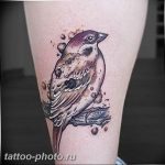 рисунка тату воробей 03.12.2018 №149 - photo tattoo sparrow - tattoo-photo.ru